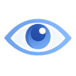 NSS Vision